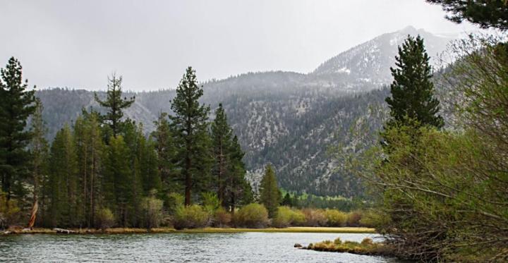 June Lake Motel Екстер'єр фото